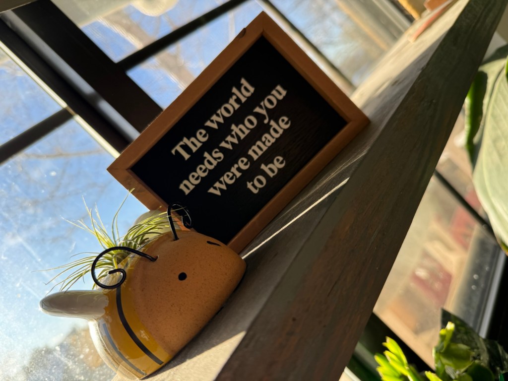 What Air Plants Taught Me About Life as a First Responder&nbsp;Spouse